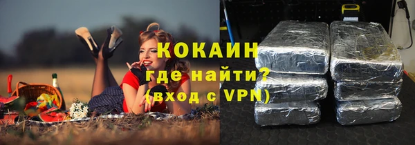 гидра Новодвинск