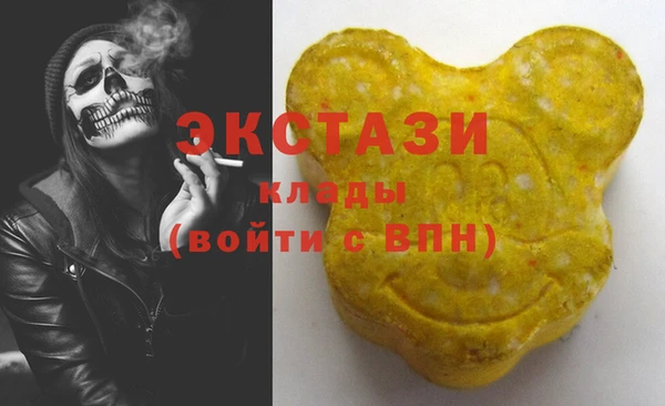 гидра Новодвинск