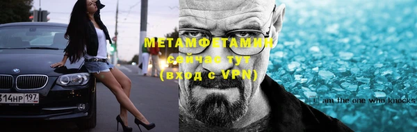 крисы Новозыбков
