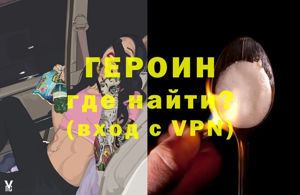 гидра Новодвинск
