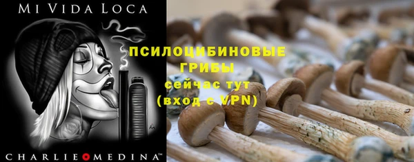 крисы Новозыбков