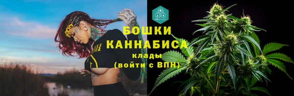 крисы Новозыбков