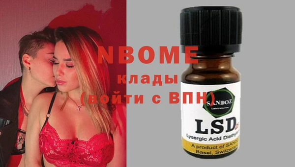 гидра Новодвинск