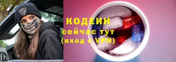 крисы Новозыбков