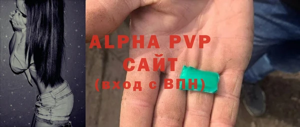 крисы Новозыбков