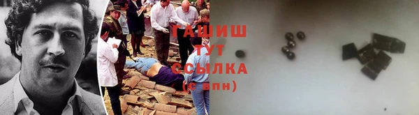 крисы Новозыбков
