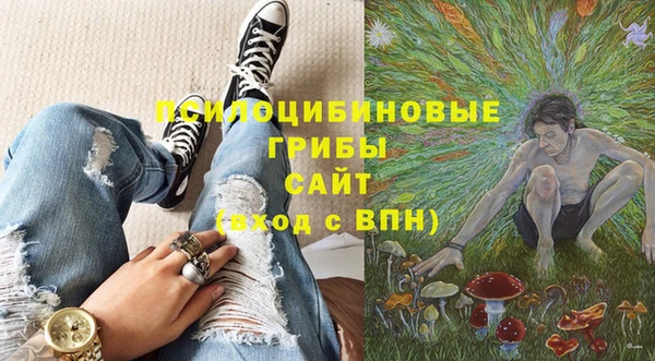 крисы Новозыбков