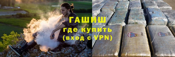 гидра Новодвинск