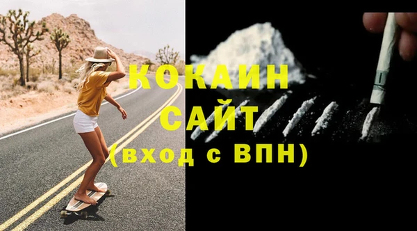 крисы Новозыбков