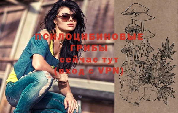 spice Новокубанск