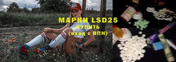 гидра Новодвинск