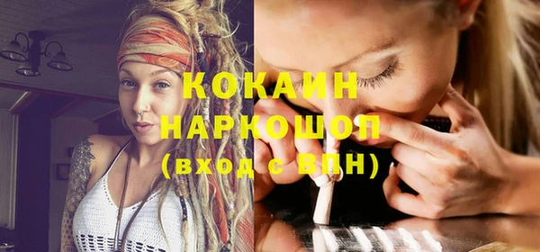 крисы Новозыбков
