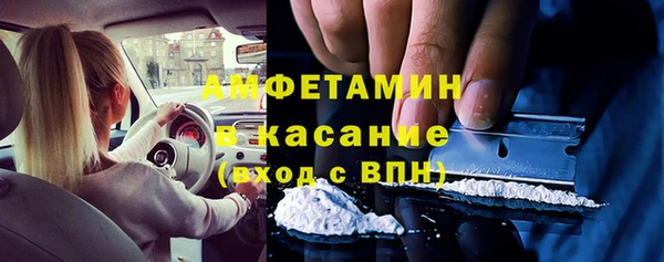 крисы Новозыбков