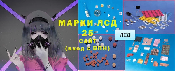 гидра Новодвинск