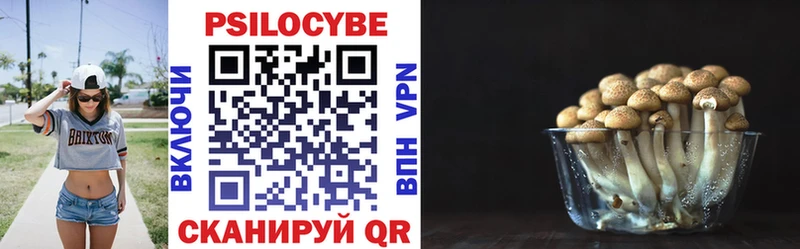 Псилоцибиновые грибы Psilocybe  как найти закладки  Ковдор 